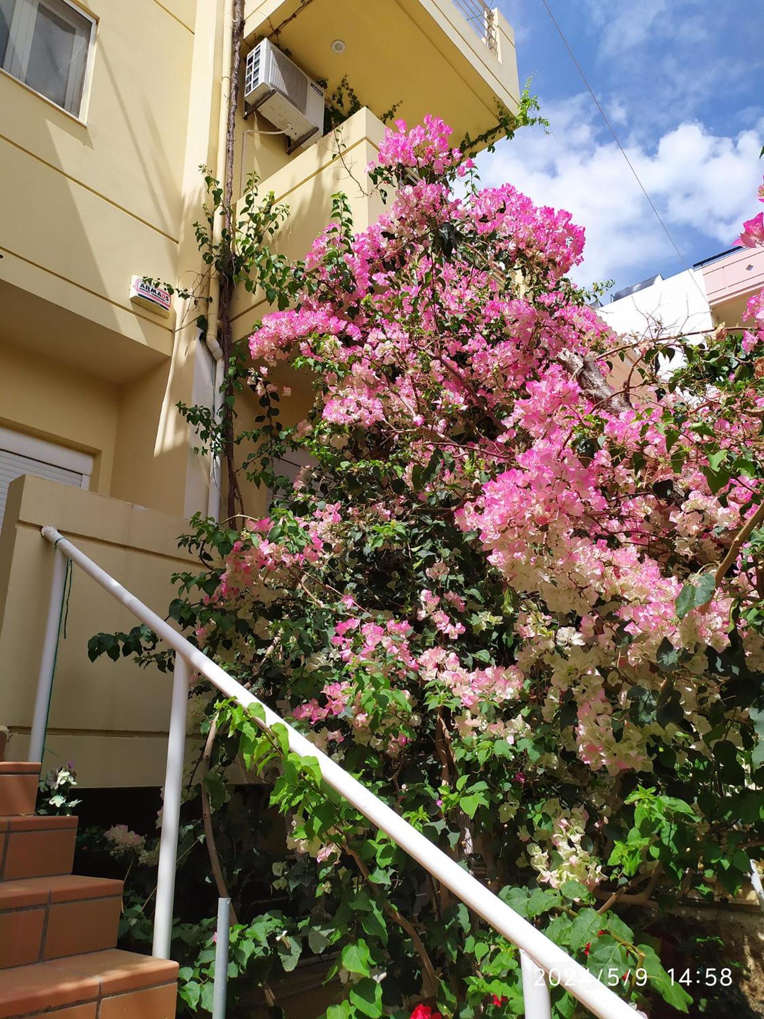 Georgia'S Family Apartment Heraklion  Exterior photo